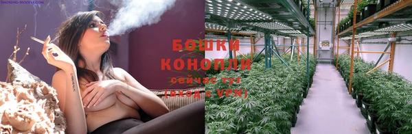 дживик Нефтекумск