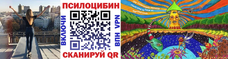 Псилоцибиновые грибы Psilocybine cubensis  Балаково 