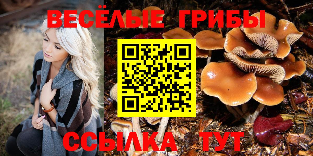 Псилоцибиновые грибы мицелий  Вход с VPN  Балаково 